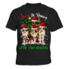 Womens Cats Jesus Is Reason For The Season Christmas Ugly Sweater V-Neck T-Shirt