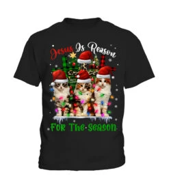 Womens Cats Jesus Is Reason For The Season Christmas Ugly Sweater V-Neck T-Shirt